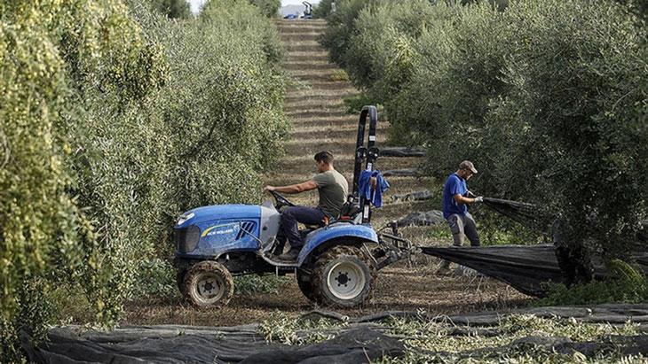 İspanya’dan Gıda Güvenliği Hamlesi: Üreticiye Destekle Küresel Dalgalanmalara Karşı Kalkan Oluşturuldu