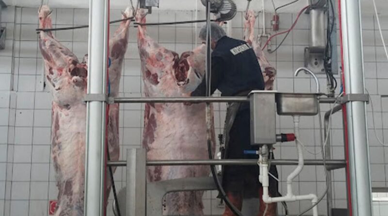 Sığır Kesim Fiyatları Güncellendi: Kırmızı Et Piyasasında Sakin Seyir Üreticiyi ve Tüketiciyi Nasıl Etkileyecek?