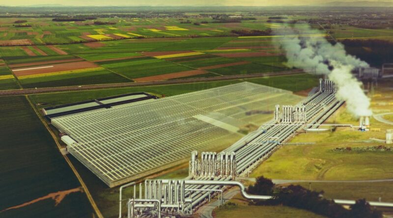 Türkiye Tarımında Yeşil Dönüşüm: 61 Organize Tarım Bölgesi, Jeotermal Seracılıkla Geleceği Şekillendiriyor