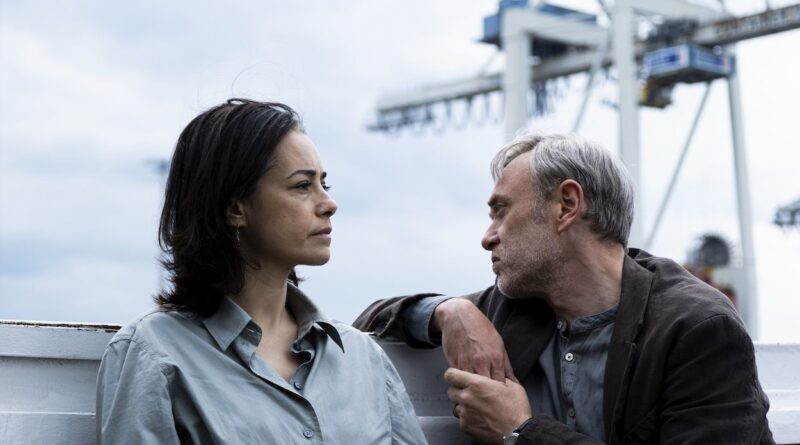 Dijital İçerik Ekosisteminde Dönüşüm: Algoritmalar Sinema Deneyimini Yeniden Şekillendiriyor Dijital İçerik Ekosisteminde Dönüşüm: Algoritmalar Sinema Deneyimini Yeniden Şekillendiriyor