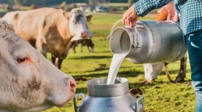 Süt Sektöründe Kritik Belirsizlik: Üretici Güveni ve Gıda Güvenliği İçin Acil Adım Çağrısı