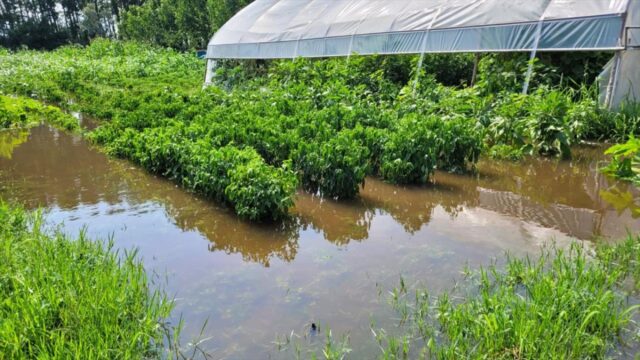 Türkiye’de Ağustos Ayında 66 Meteorolojik Afet Meydana Geldi: Şiddetli Yağış ve Seller İlk Sırada
