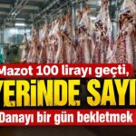 Kırmızı Et Piyasasında Durağanlık Sürerken Besicilerin Maliyet Yükü Artıyor