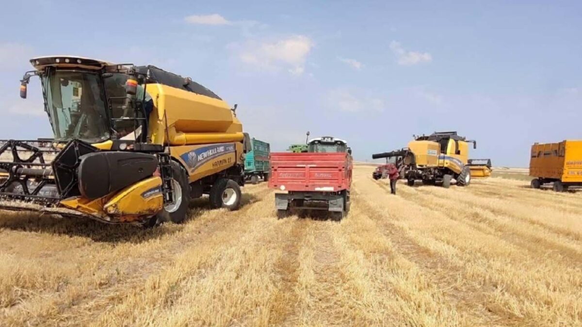 2027 Tarım Destekleri Detayları Belli Oldu: Çiftçiler Ürününe Göre Ne Kadar Destek Alacak?
