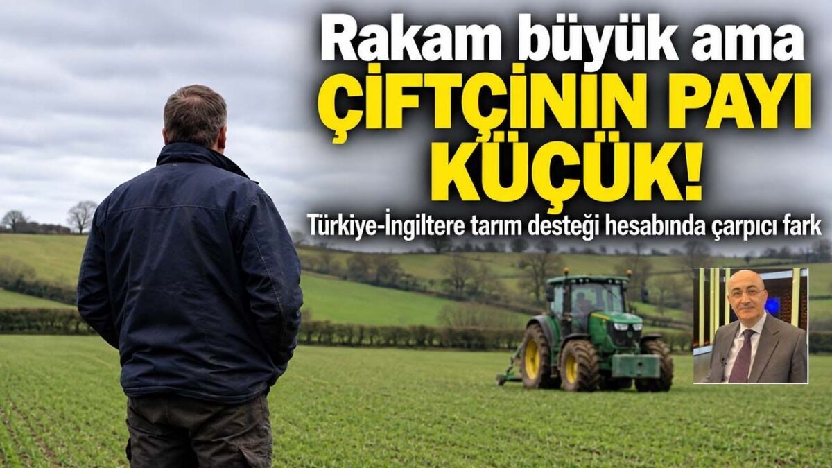 Türkiye ve İngiltere Tarımsal Destek Bütçelerinin Mercek Altında: Çiftçi Başına Düşen Destekte Büyük Fark