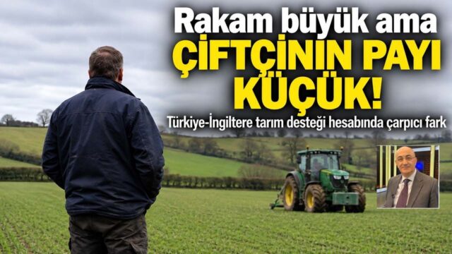Türkiye ve İngiltere Tarımsal Destek Bütçelerinin Mercek Altında: Çiftçi Başına Düşen Destekte Büyük Fark