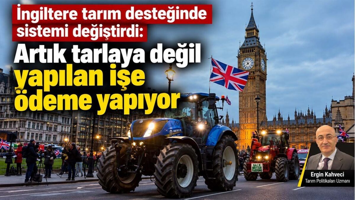İngiltere Tarım Desteklerinde Dönüşüm: Tarladan Faaliyete Odak Kayması