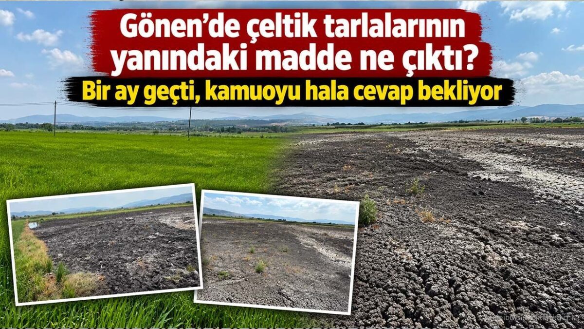 Gönen’deki Çeltik Tarlaları Yakınındaki Gizemli Madde: Kamuoyu Analiz Sonuçlarını Bekliyor
