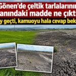 Gönen’deki Çeltik Tarlaları Yakınındaki Gizemli Madde: Kamuoyu Analiz Sonuçlarını Bekliyor