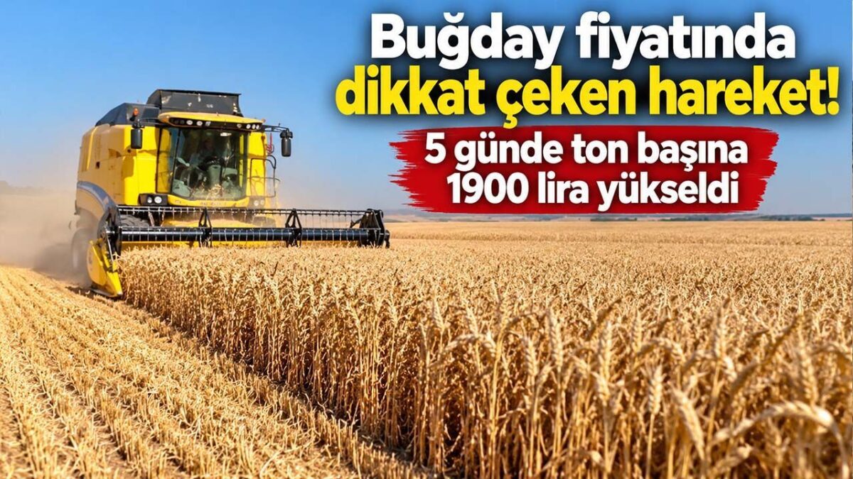 Konya Ticaret Borsası’nda Ekmeklik Buğday Fiyatları Hızla Yükseldi: Beş Günde Ton Başına 1900 Lira Artış