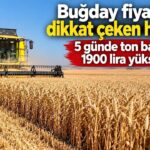 Konya Ticaret Borsası’nda Ekmeklik Buğday Fiyatları Hızla Yükseldi: Beş Günde Ton Başına 1900 Lira Artış